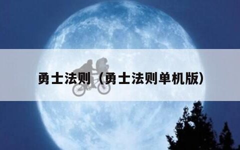 勇士法则（勇士法则单机版）