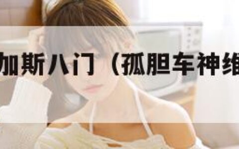 孤胆车神维加斯八门（孤胆车神维加斯乐游网）