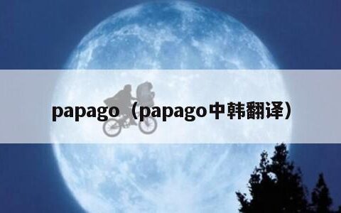papago（papago中韩翻译）