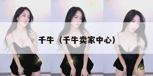 千牛（千牛卖家中心）