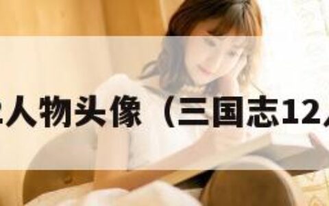 三国志12人物头像（三国志12人物图片）