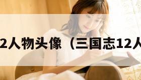 三国志12人物头像（三国志12人物图片）
