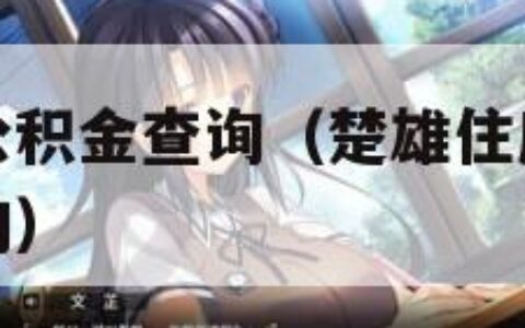 楚雄州住房公积金查询（楚雄住房公积金个人余额窗口查询）