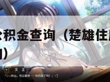 楚雄州住房公积金查询（楚雄住房公积金个人余额窗口查询）