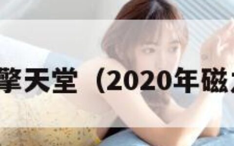 磁力引擎天堂（2020年磁力引擎）