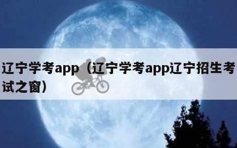 辽宁学考app（辽宁学考app辽宁招生考试之窗）