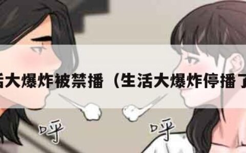 生活大爆炸被禁播（生活大爆炸停播了吗）