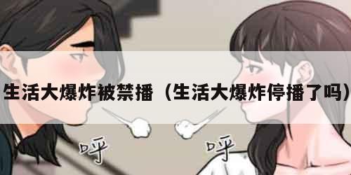 生活大爆炸被禁播（生活大爆炸停播了吗）