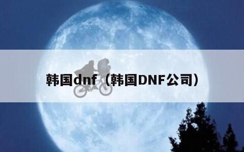 韩国dnf（韩国DNF公司）