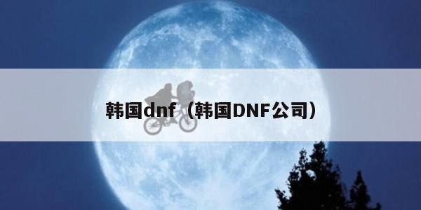 韩国dnf（韩国DNF公司）