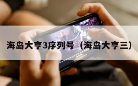 海岛大亨3序列号（海岛大亨三）