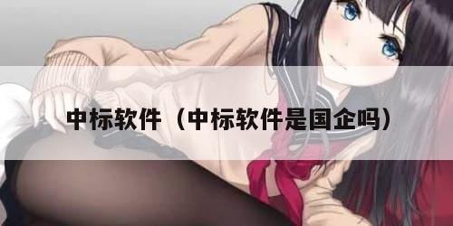 中标软件（中标软件是国企吗）