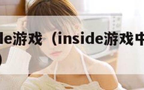 inside游戏（inside游戏中文叫什么）