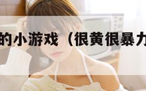 很黄很暴力的小游戏（很黄很暴力的小游戏叫什么）