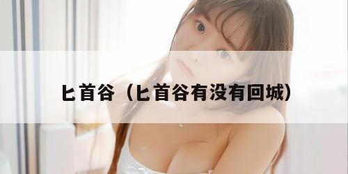 匕首谷（匕首谷有没有回城）