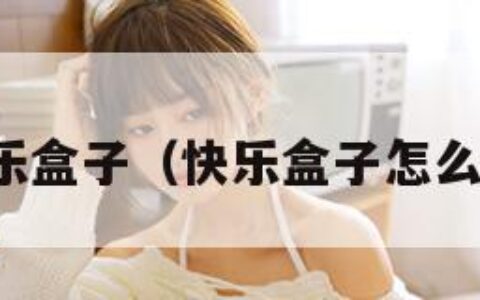 快乐盒子（快乐盒子怎么做）