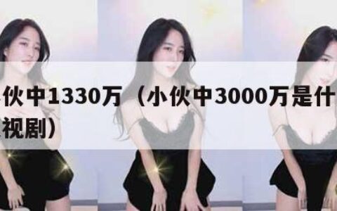 小伙中1330万（小伙中3000万是什么电视剧）