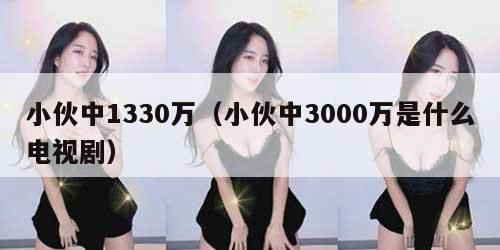 小伙中1330万（小伙中3000万是什么电视剧）