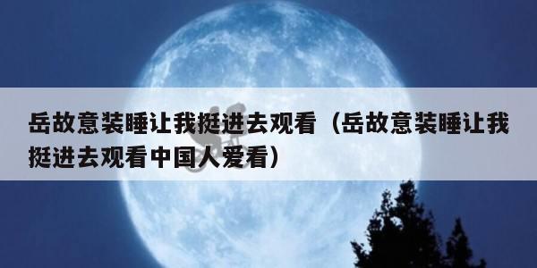 岳故意装睡让我挺进去观看（岳故意装睡让我挺进去观看中国人爱看）