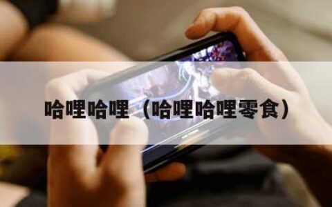 哈哩哈哩（哈哩哈哩零食）