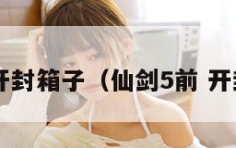 仙剑5开封箱子（仙剑5前 开封钱包）