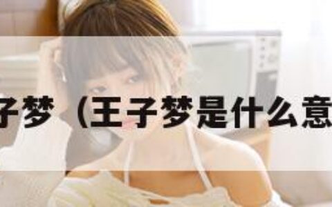 王子梦（王子梦是什么意思）