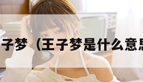 王子梦（王子梦是什么意思）