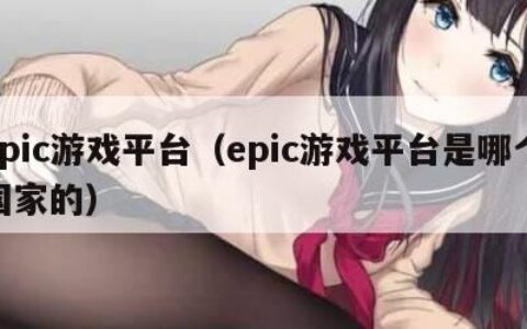 epic游戏平台（epic游戏平台是哪个国家的）