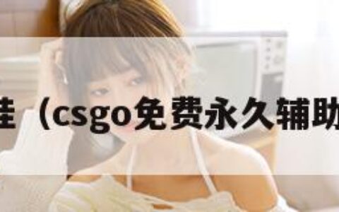 cs外挂（csgo免费永久辅助官网）