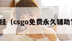 cs外挂（csgo免费永久辅助官网）