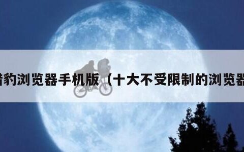 猎豹浏览器手机版（十大不受限制的浏览器）