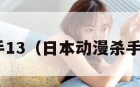 杀手13（日本动漫杀手13）