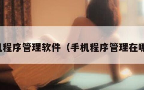 手机程序管理软件（手机程序管理在哪里）