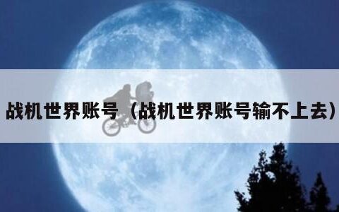 战机世界账号（战机世界账号输不上去）