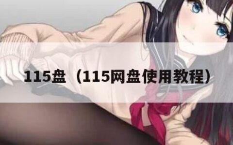 115盘（115网盘使用教程）