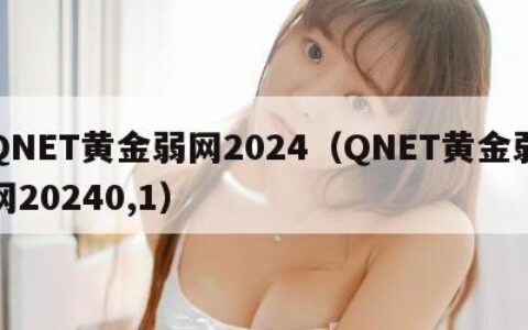 QNET黄金弱网2024（QNET黄金弱网20240,1）