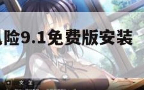9幺高危风险9.1免费版安装（91高危风险免费）