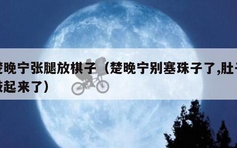 楚晚宁张腿放棋子（楚晚宁别塞珠子了,肚子鼓起来了）