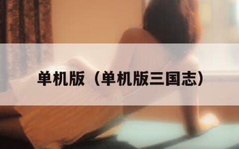 单机版（单机版三国志）