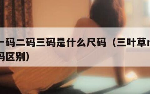 日本一码二码三码是什么尺码（三叶草m码和欧洲码区别）