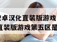 日式rpg安卓汉化直装版游戏（日式rpg安卓汉化直装版游戏第五区是什么）
