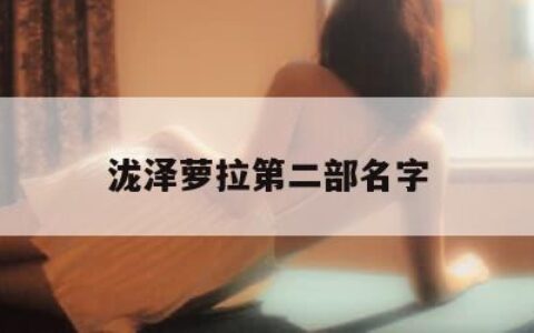 泷泽萝拉第二部名字