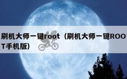 刷机大师一键root（刷机大师一键ROOT手机版）