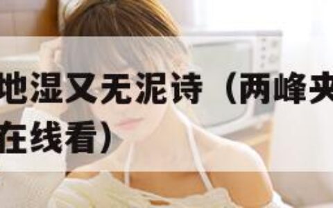 两峰夹小溪地湿又无泥诗（两峰夹小溪地湿又无泥诗小说在线看）