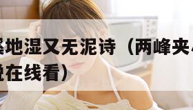 两峰夹小溪地湿又无泥诗（两峰夹小溪地湿又无泥诗小说在线看）