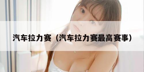 汽车拉力赛（汽车拉力赛最高赛事）