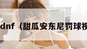 tgadnf（甜瓜安东尼罚球视频）