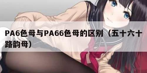 PA6色母与PA66色母的区别（五十六十路韵母）