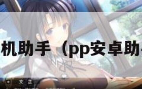 pp安卓手机助手（pp安卓助手手机版）