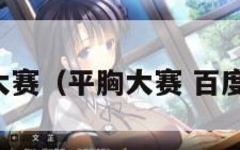 平胸大赛（平胸大赛 百度贴吧）